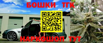 МДПВ Славгород